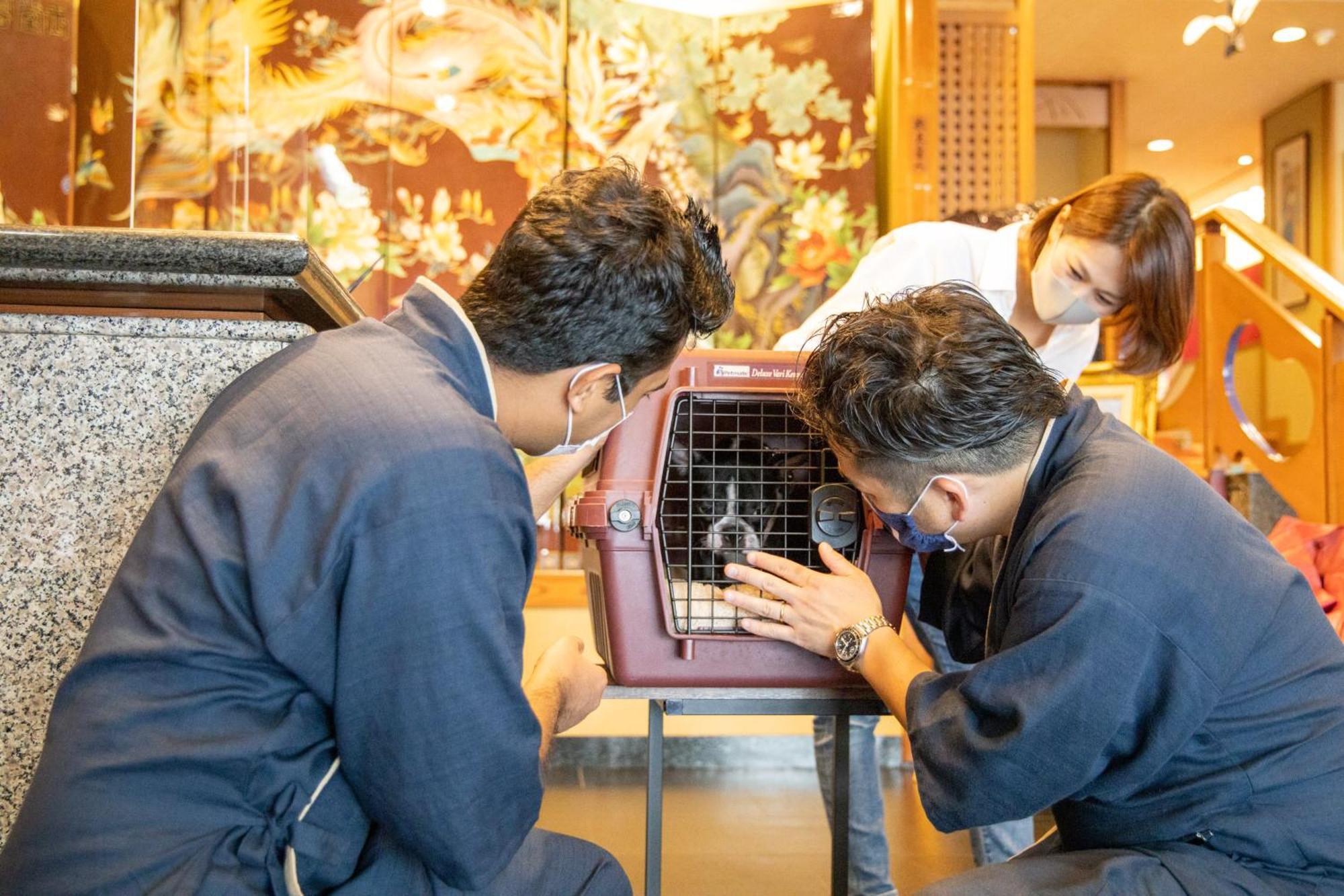 Komatsuya Hachinobou Izunokuni Eksteriør billede