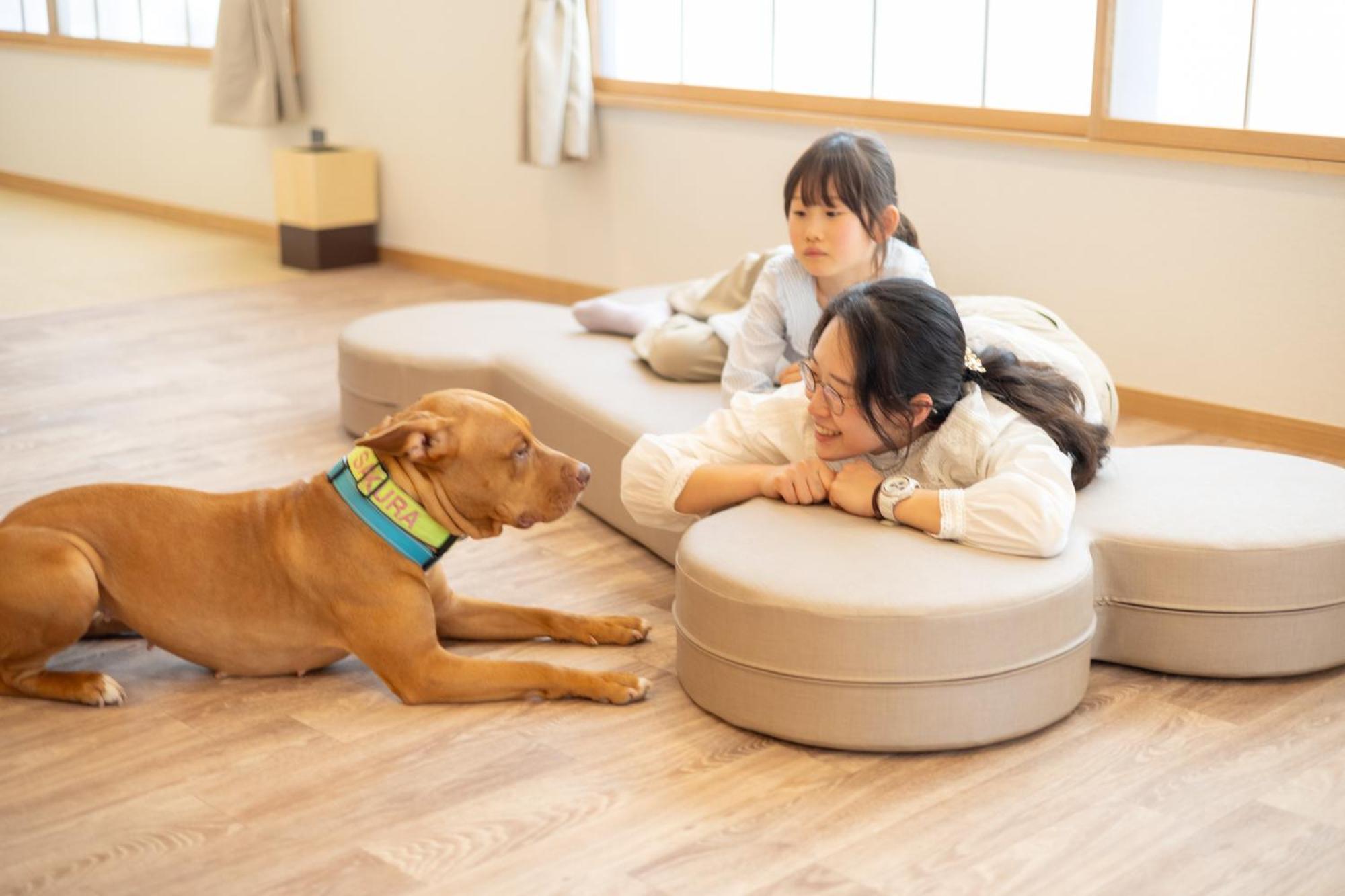 Komatsuya Hachinobou Izunokuni Eksteriør billede